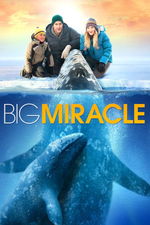 Download Big Miracle (2012) BluRay [Hindi + English] ESub 480p 720p