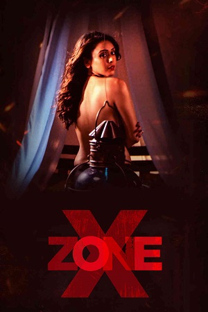 Download X Zone (2020) WebRip Hindi 480p 720p