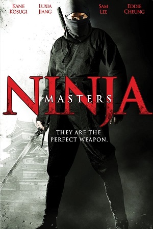 Download Ninja Masters (2009) BluRay [Hindi + Chinese] 480p 720p