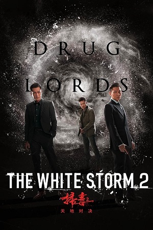 Download The White Storm 2 Drug Lords (2019) WebRip Hindi Dubbed ESub 480p 720p