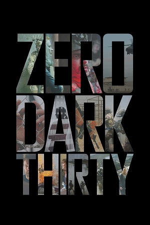 Download Zero Dark Thirty (2012) BluRay [Hindi + English] 480p 720p