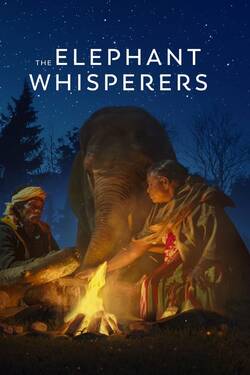 Download The Elephant Whisperers (2022) WebRip [Hindi + Tamil + Telugu] ESub 480p 720p 1080p