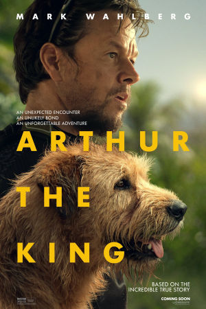 Download Arthur the King (2024) WebRip [Hindi + Tamil + Telugu + English] ESub 480p 720p