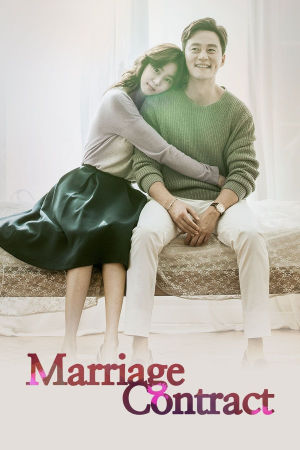 Download Marriage Contract (2016) Season 1 WebRip [Hindi + Tamil + Telugu + Korean] S01 ESub 480p 720p - Complete