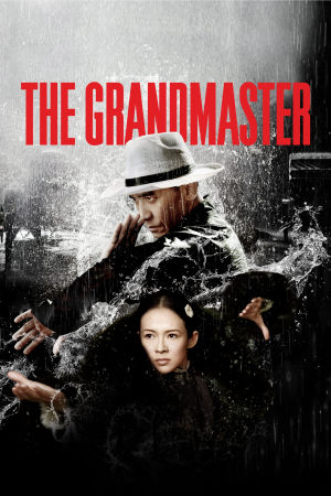 Download The Grandmaster (2013) WebRip [Hindi + English] ESub 480p 720p 1080p