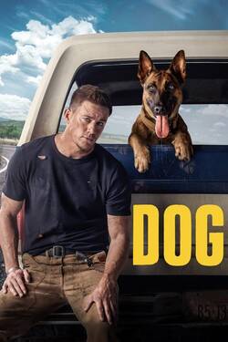 Dog (2022) BluRay [Hindi + Tamil + Telugu + English] 480p 720p 1080p Download - Watch Online