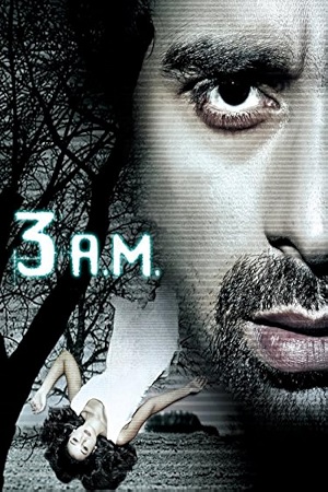 Download 3 AM - A Paranormal Experience (2014) WebRip Hindi 480p 720p