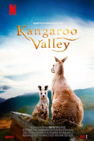 Download Kangaroo Valley (2022) WebDl [Hindi + English] ESub 480p 720p