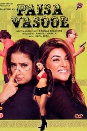 Download Paisa Vasool (2004) WebRip Hindi ESub 480p 720p