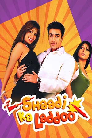 Download Shaadi Ka Laddoo (2004) WebRip Hindi ESub 480p 720p