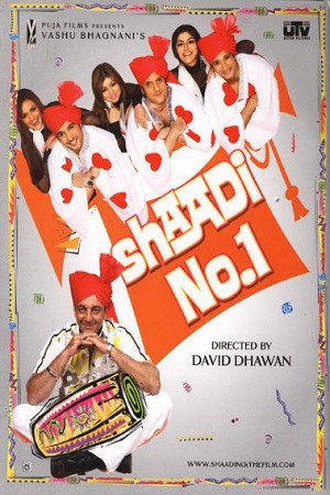 Download Shaadi No. 1 (2005) WebRip Hindi 480p 720p