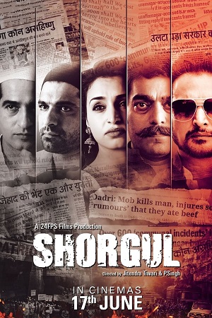 Download Shorgul (2016) WebRip Hindi ESub 480p 720p