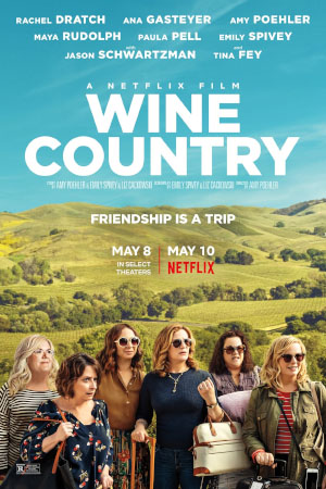 Download Wine Country (2019) WebDl [Hindi + English] ESub 480p 720p